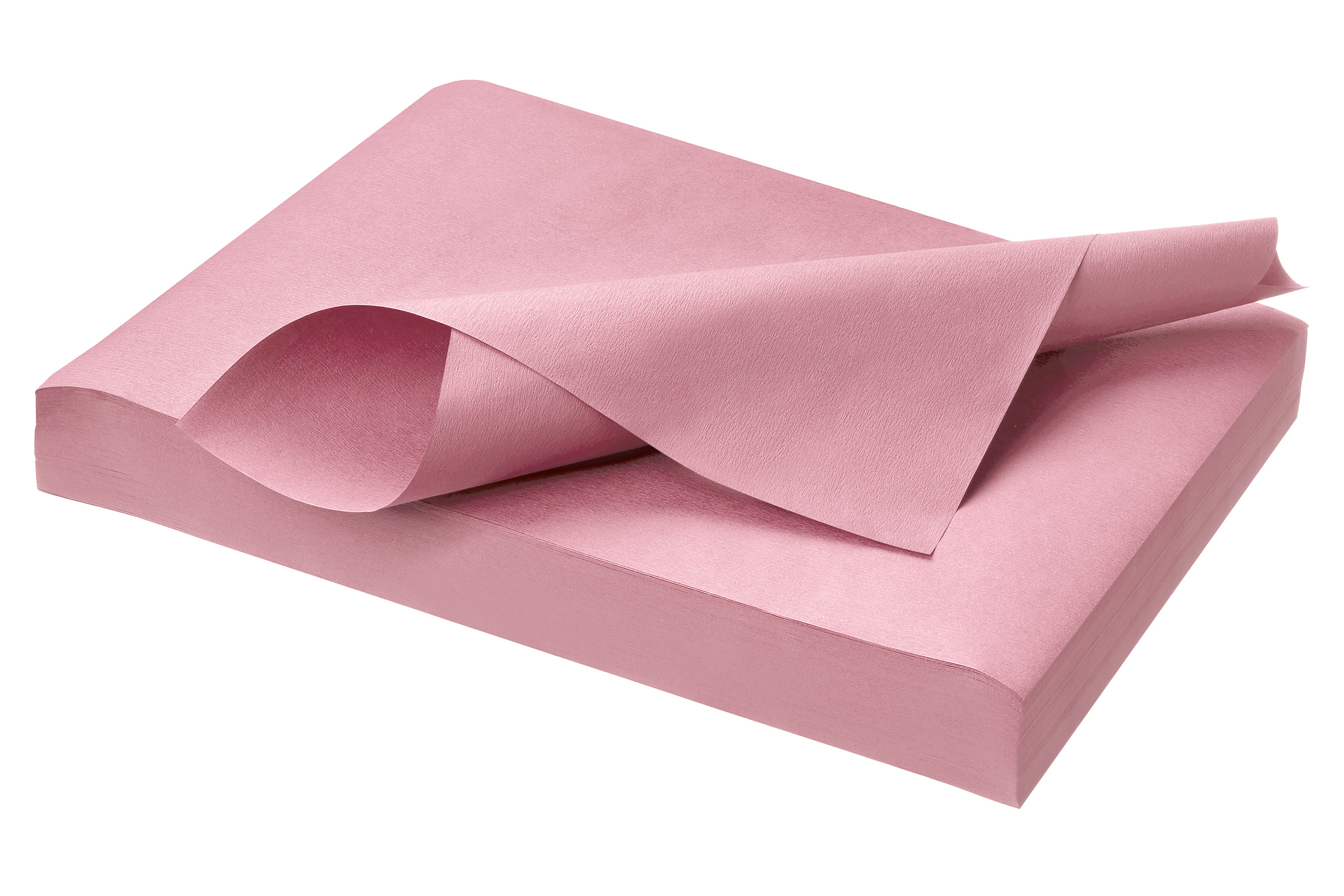 Filterpapier | Norm Tray Einlage | pink